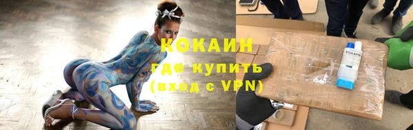 a pvp Ельня