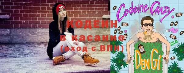 a pvp Ельня