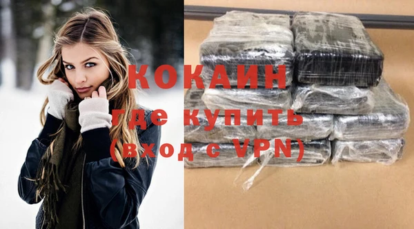 a pvp Ельня